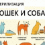 Льготная стерилизация (кастрация) домашних животных. - Борисовский район