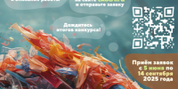 5 июня стартует региональный творческий конкурс «От хлама до искусства – 2025». - Борисовский район