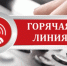 О проведении тематической «горячей линии». - Борисовский район