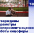 Борисовцы смогут оценить учреждения социальной сферы через «Госуслуги». - Борисовский район